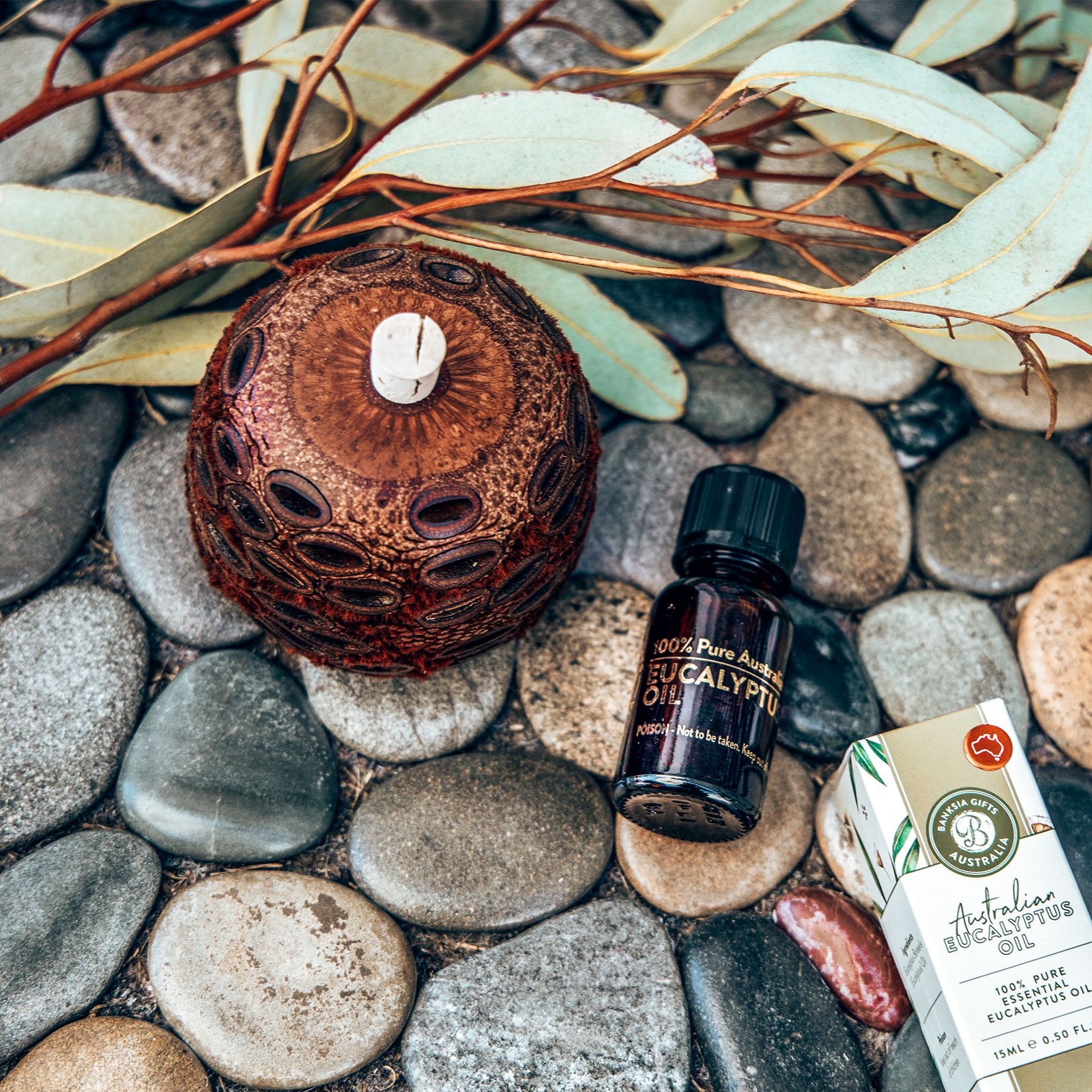 Banksia Pod Diffuser