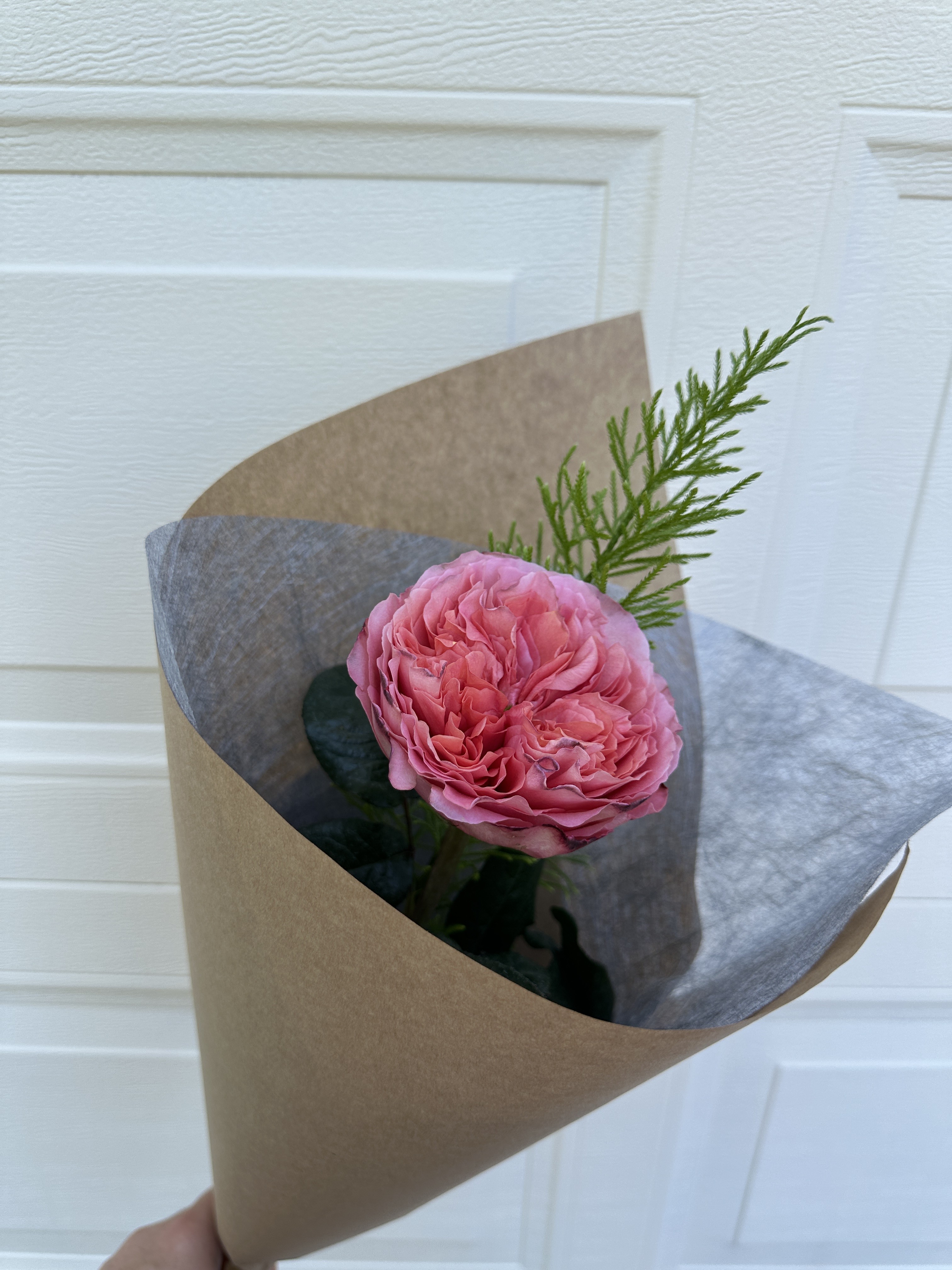 Valentine's Day Rose -Saturday 14th Feb 2026