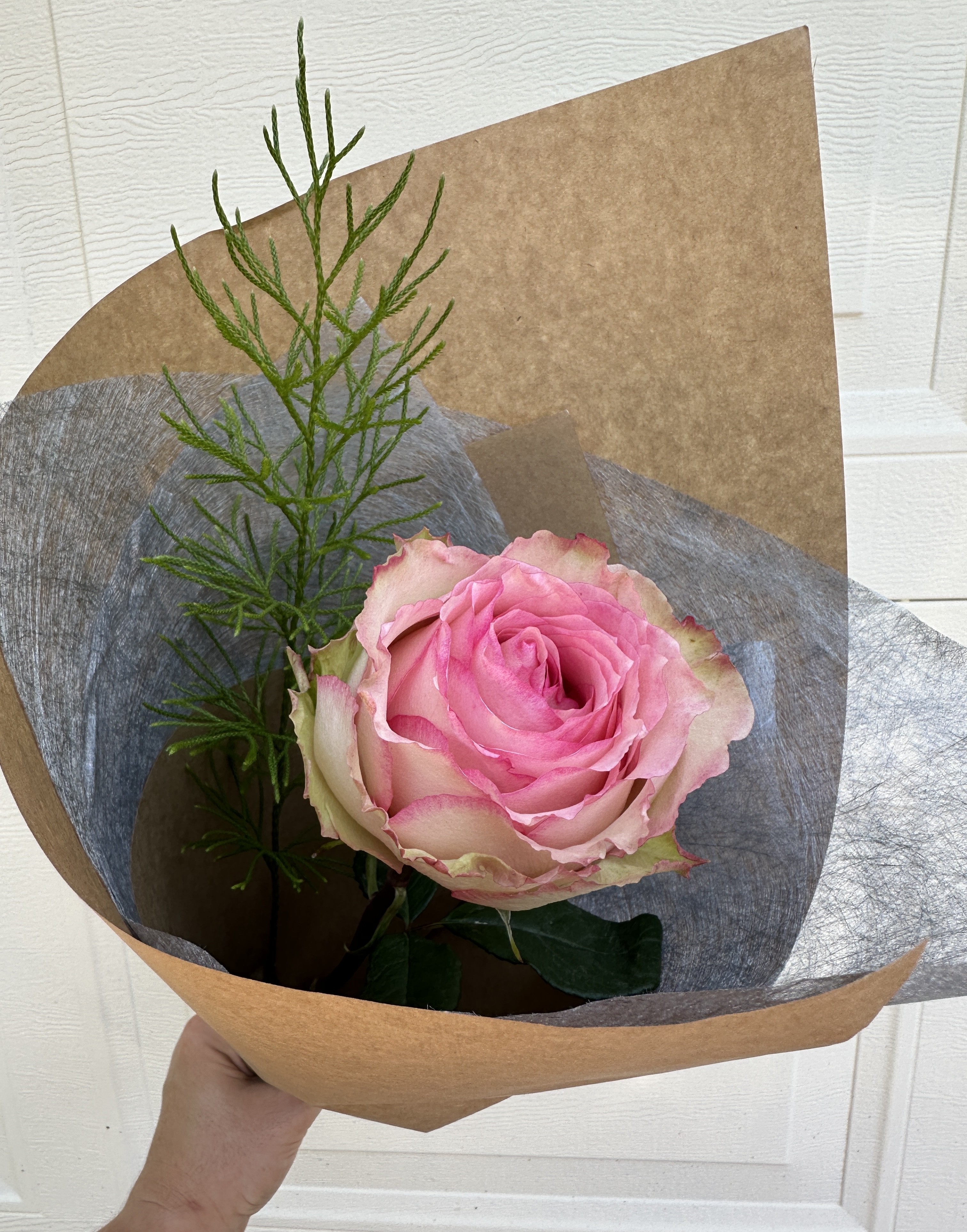 Valentine's Day Rose -Saturday 14th Feb 2026