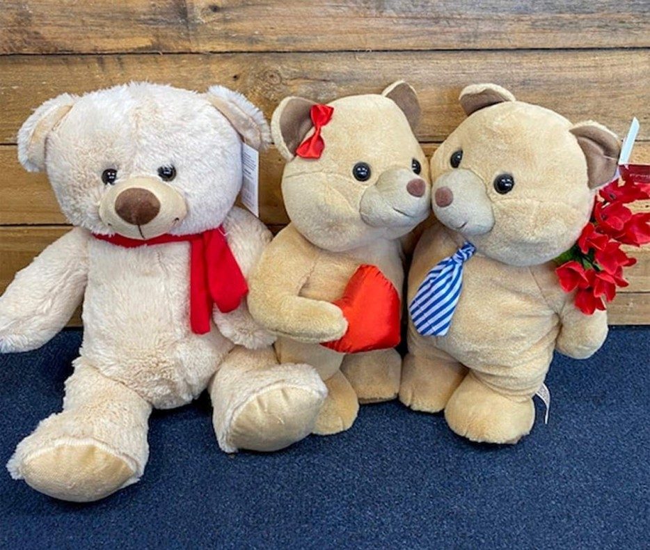 Cuddly Soft Toys (Large)